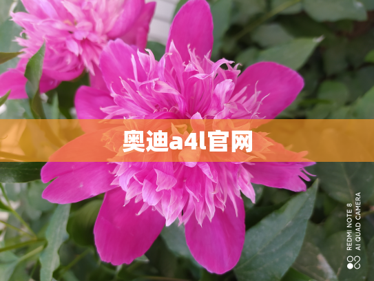 奥迪a4l官网