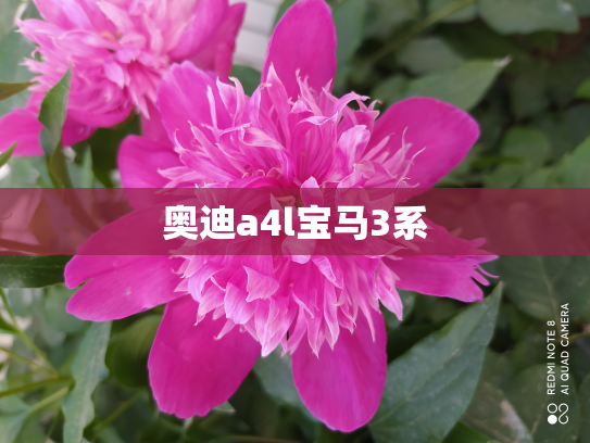 奥迪a4l宝马3系