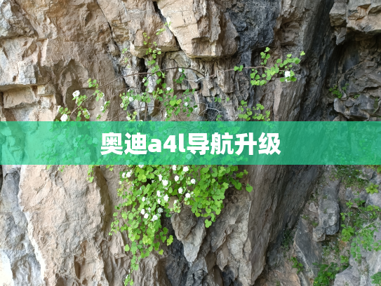 奥迪a4l导航升级
