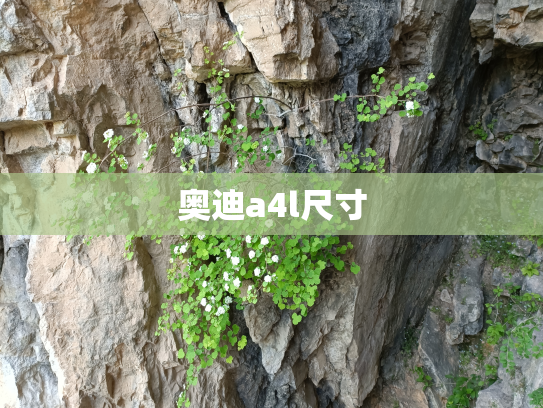 奥迪a4l尺寸