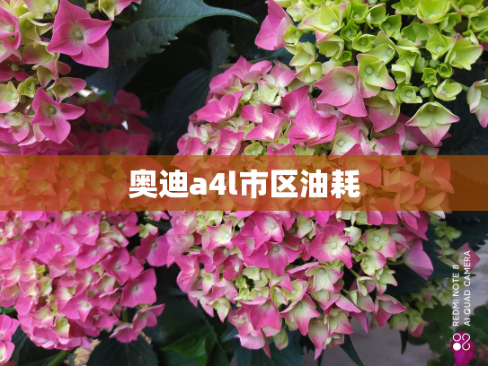 奥迪a4l市区油耗