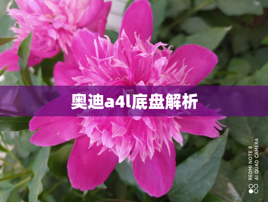 奥迪a4l底盘解析