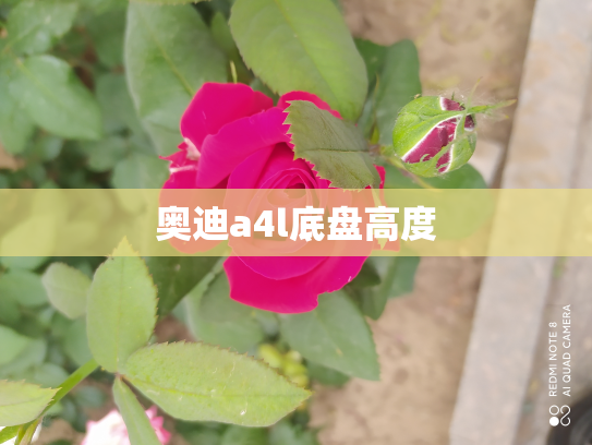 奥迪a4l底盘高度