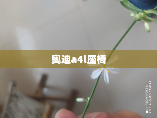 奥迪a4l座椅
