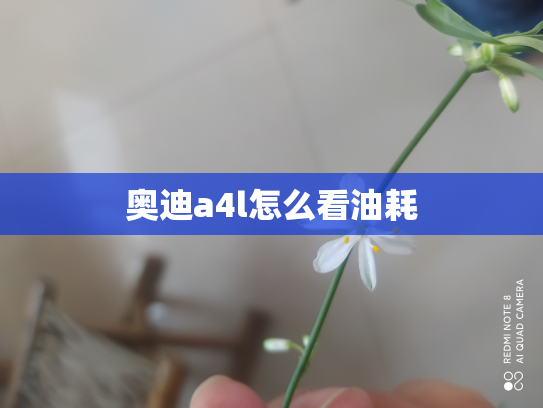 奥迪a4l怎么看油耗