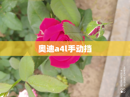 奥迪a4l手动挡