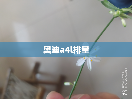 奥迪a4l排量