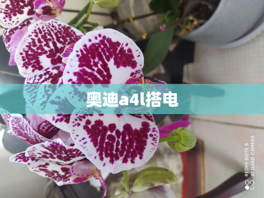 奥迪a4l搭电