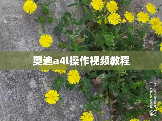 奥迪a4l操作视频教程
