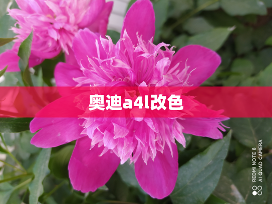 奥迪a4l改色
