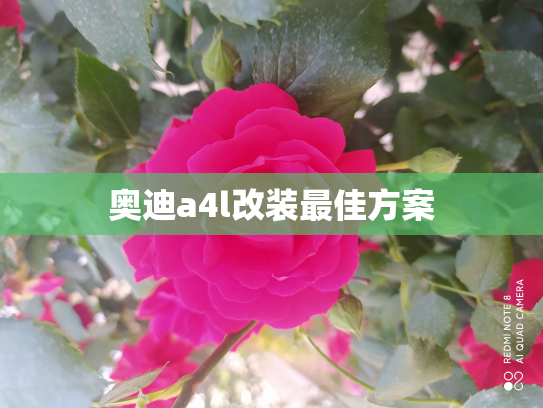 奥迪a4l改装最佳方案