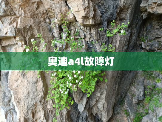 奥迪a4l故障灯
