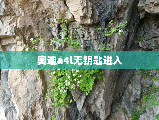 奥迪a4l无钥匙进入