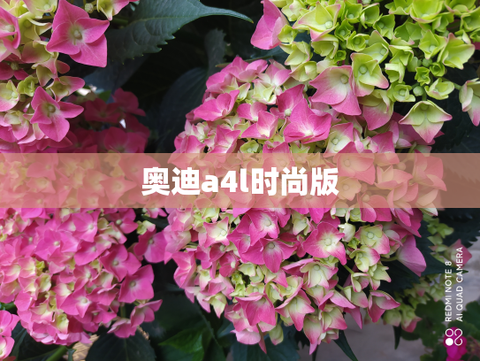 奥迪a4l时尚版