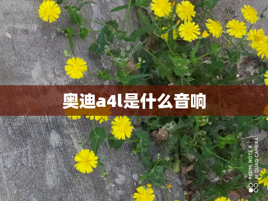 奥迪a4l是什么音响