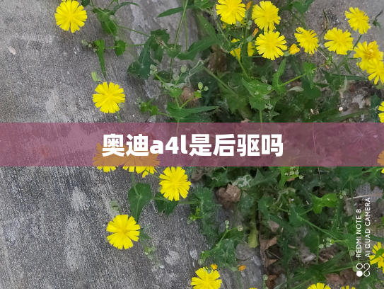 奥迪a4l是后驱吗