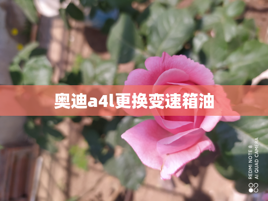 奥迪a4l更换变速箱油