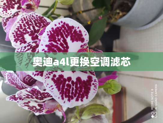 奥迪a4l更换空调滤芯