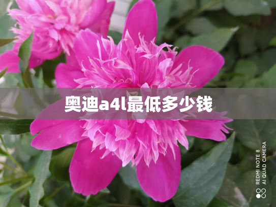 奥迪a4l最低多少钱