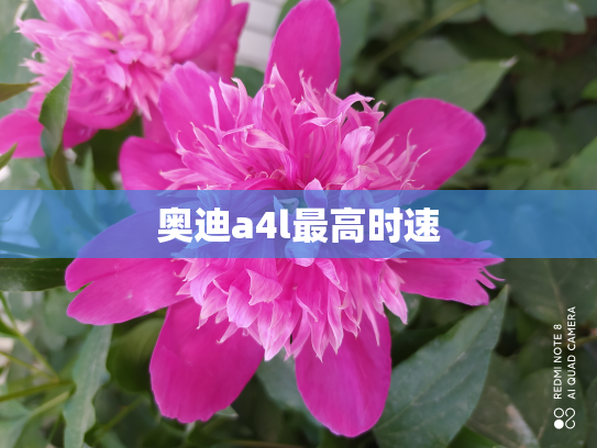 奥迪a4l最高时速