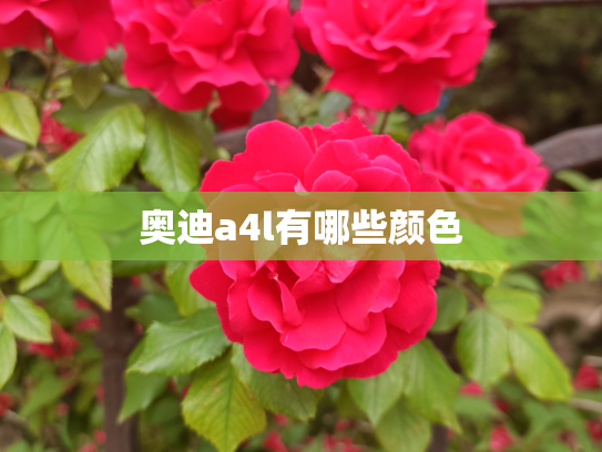 奥迪a4l有哪些颜色