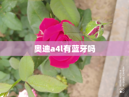 奥迪a4l有蓝牙吗