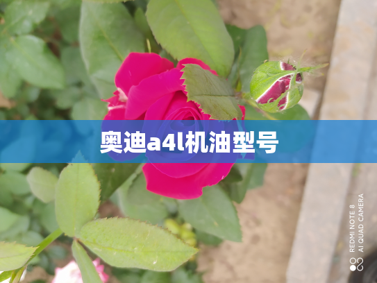 奥迪a4l机油型号