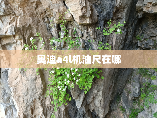 奥迪a4l机油尺在哪