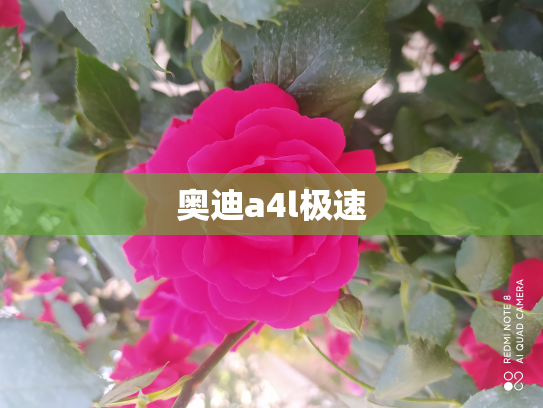 奥迪a4l极速
