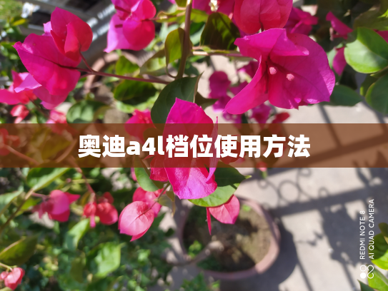 奥迪a4l档位使用方法