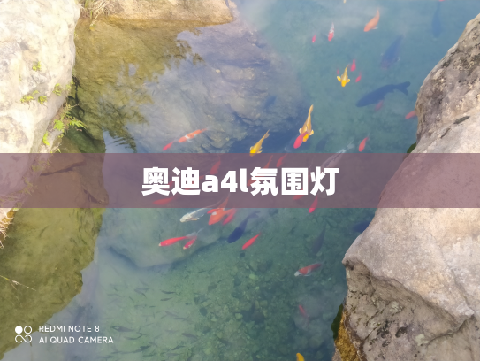 奥迪a4l氛围灯
