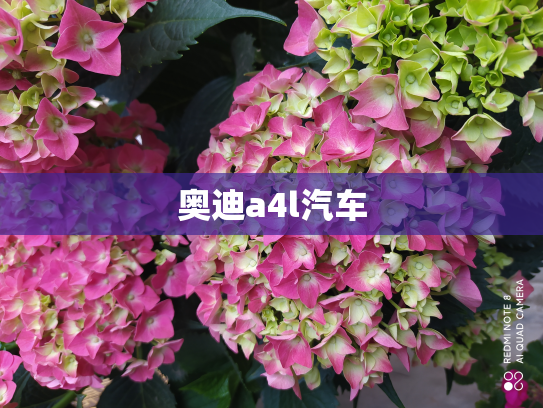 奥迪a4l汽车