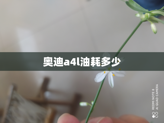 奥迪a4l油耗多少
