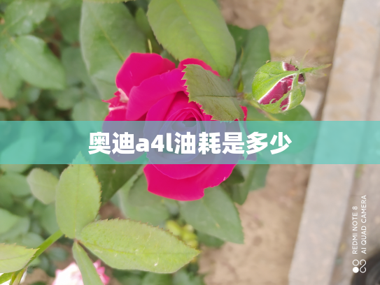 奥迪a4l油耗是多少