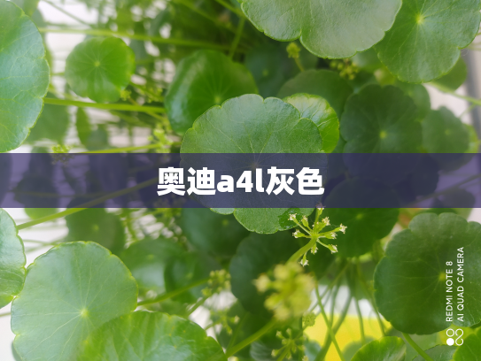 奥迪a4l灰色