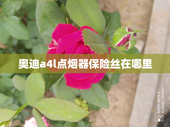 奥迪a4l点烟器保险丝在哪里