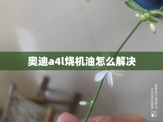 奥迪a4l烧机油怎么解决