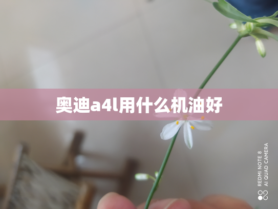 奥迪a4l用什么机油好