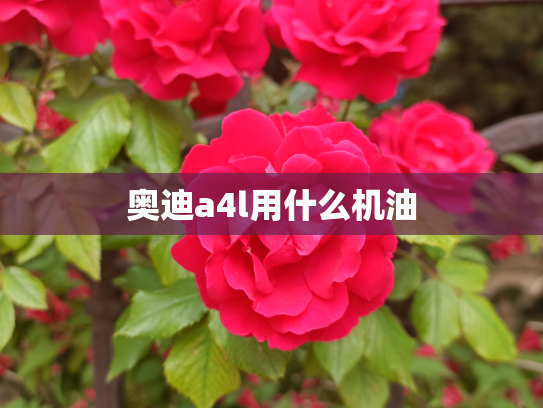 奥迪a4l用什么机油