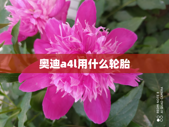 奥迪a4l用什么轮胎