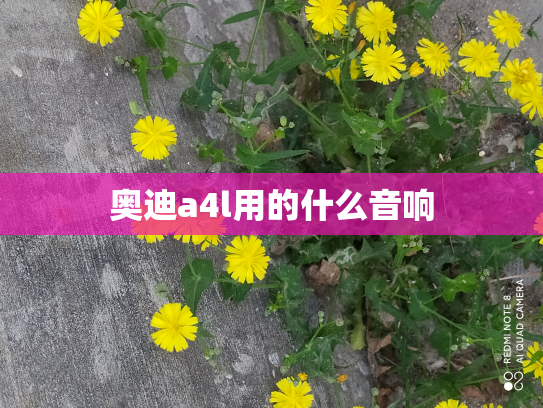 奥迪a4l用的什么音响