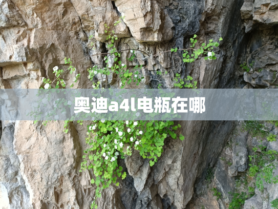 奥迪a4l电瓶在哪