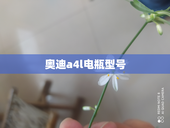 奥迪a4l电瓶型号