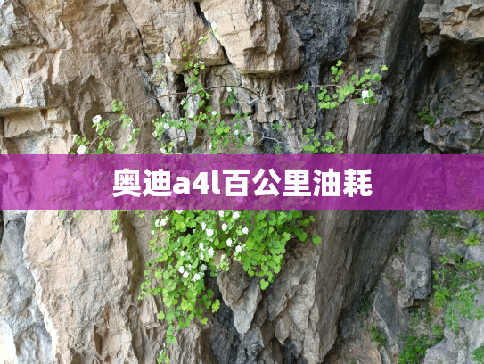 奥迪a4l百公里油耗