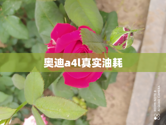 奥迪a4l真实油耗