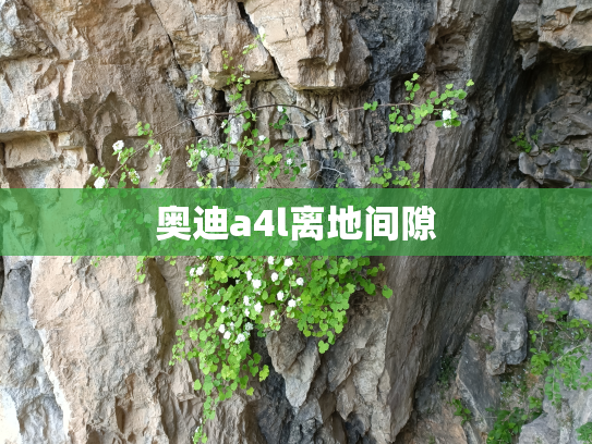 奥迪a4l离地间隙