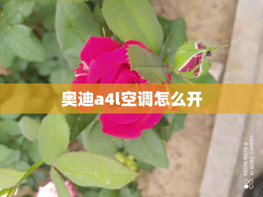 奥迪a4l空调怎么开