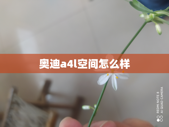 奥迪a4l空间怎么样
