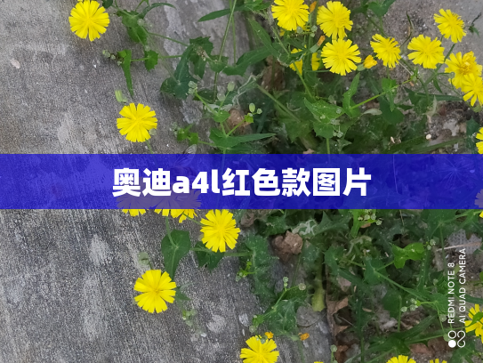 奥迪a4l红色款图片
