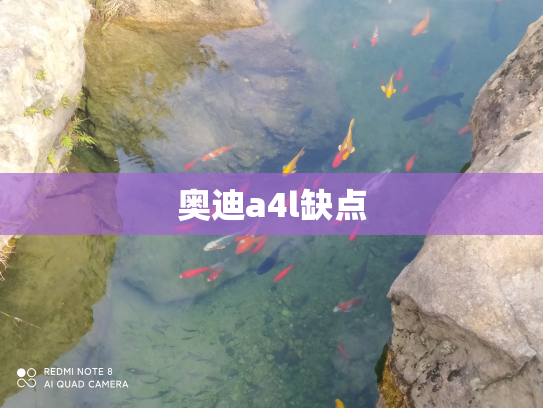 奥迪a4l缺点